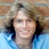 Andy Gibb 