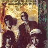 Traveling Wilburys Vol. 3
