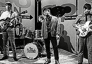 The Animals